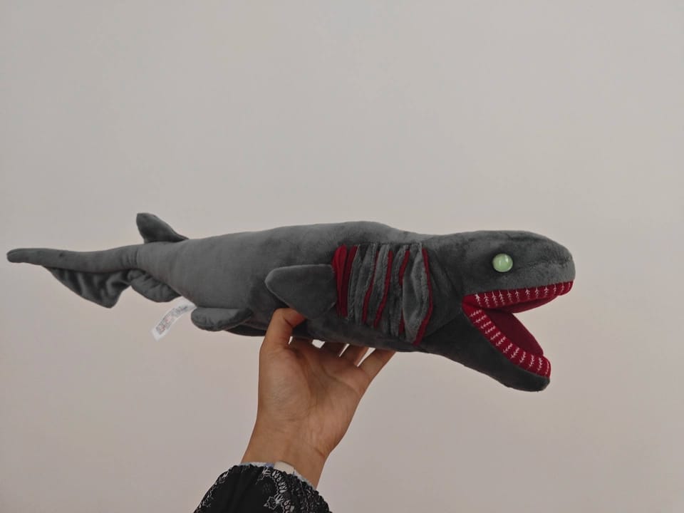 Customer photo review of Realistic Deep-Sea Frilled Shark Plush Toy – Soft and Mesmerizing Ocean Gift