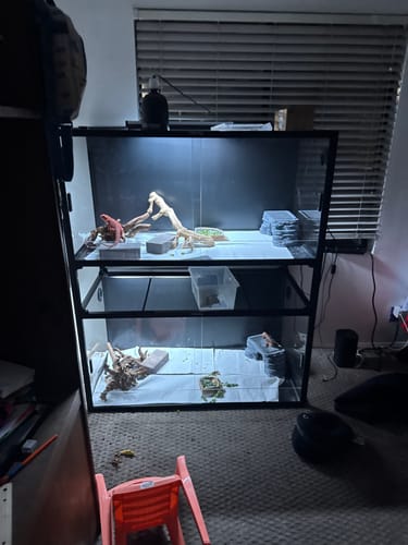 Customer photo review of V2 10'' Stackers/Spacers ONLY FOR ALL REPMAC COLLECTION