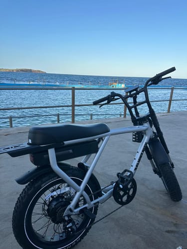 Customer photo review of FR505 - Silver