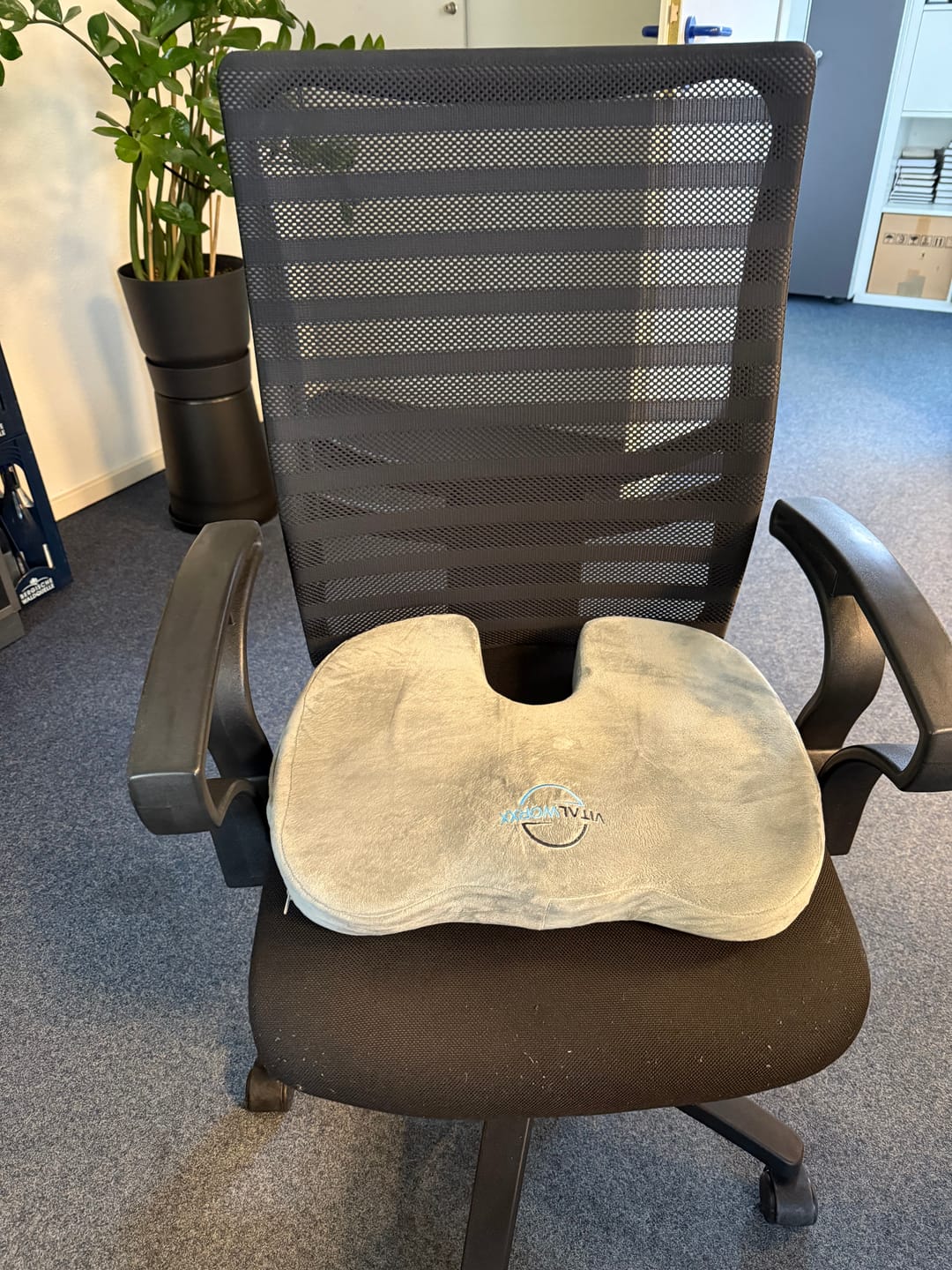 Customer photo review of VITALWORXX Sitzkissen zur Rücken- und Steißbein-Entlastung
