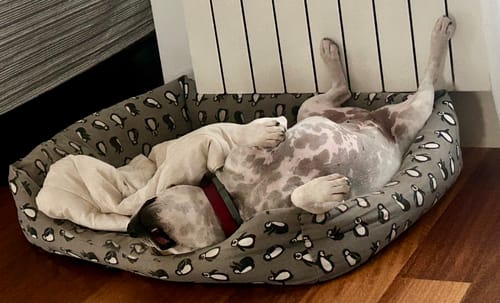 Customer photo review of Light