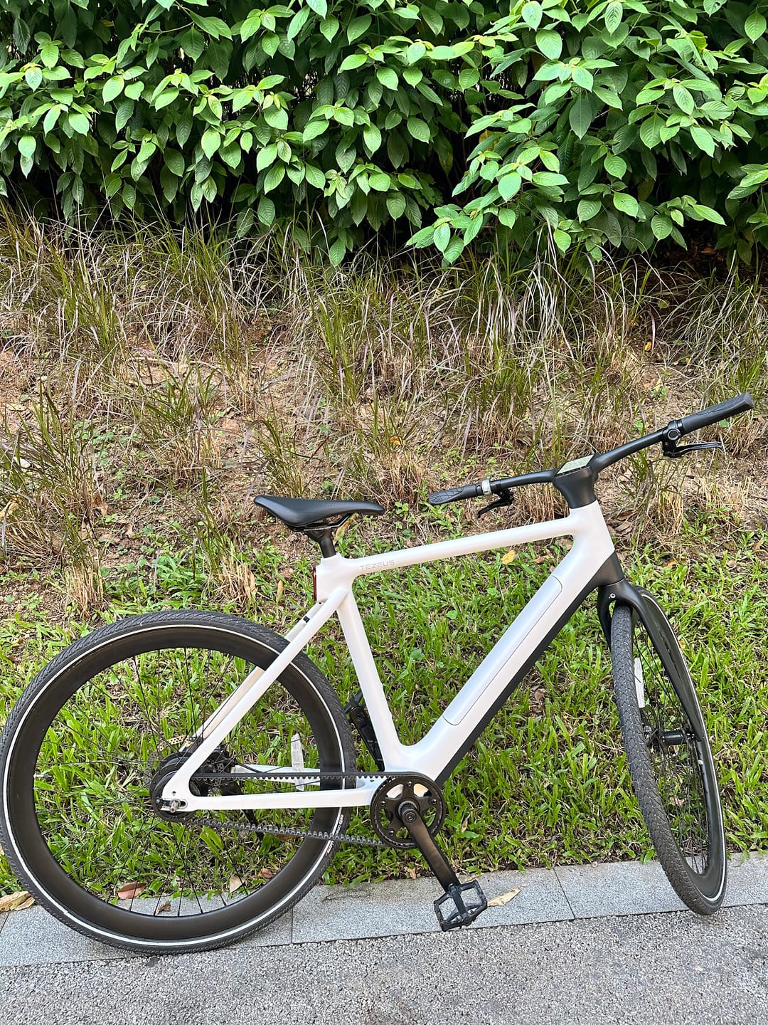 Customer photo review of Tezeus C8