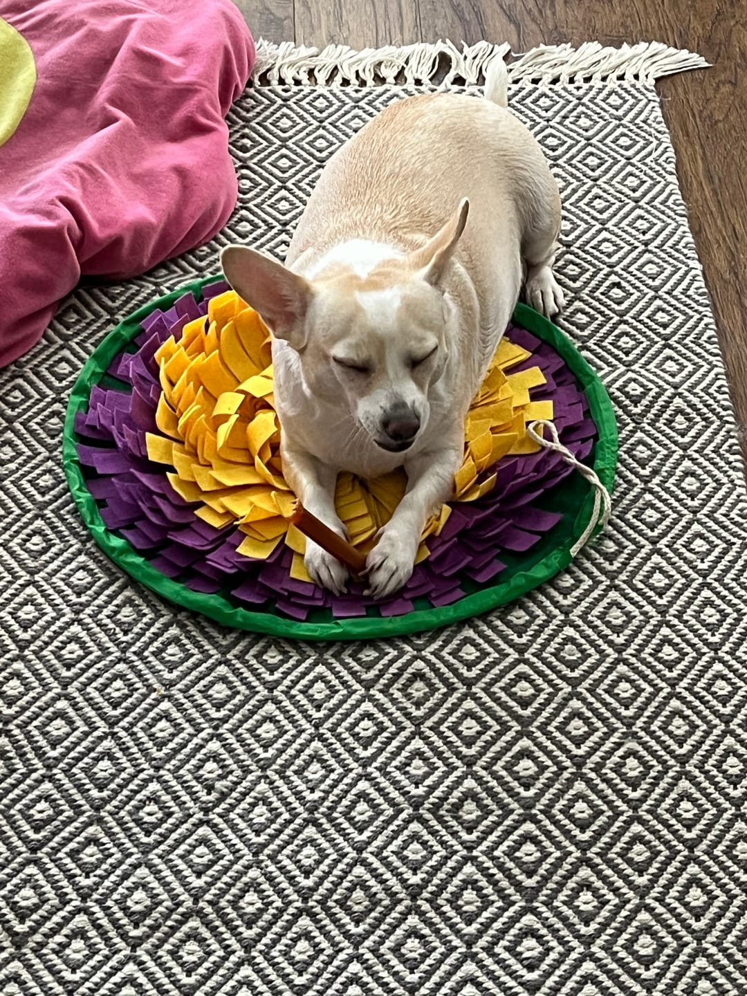 Customer photo review of Coconut Yak Chews