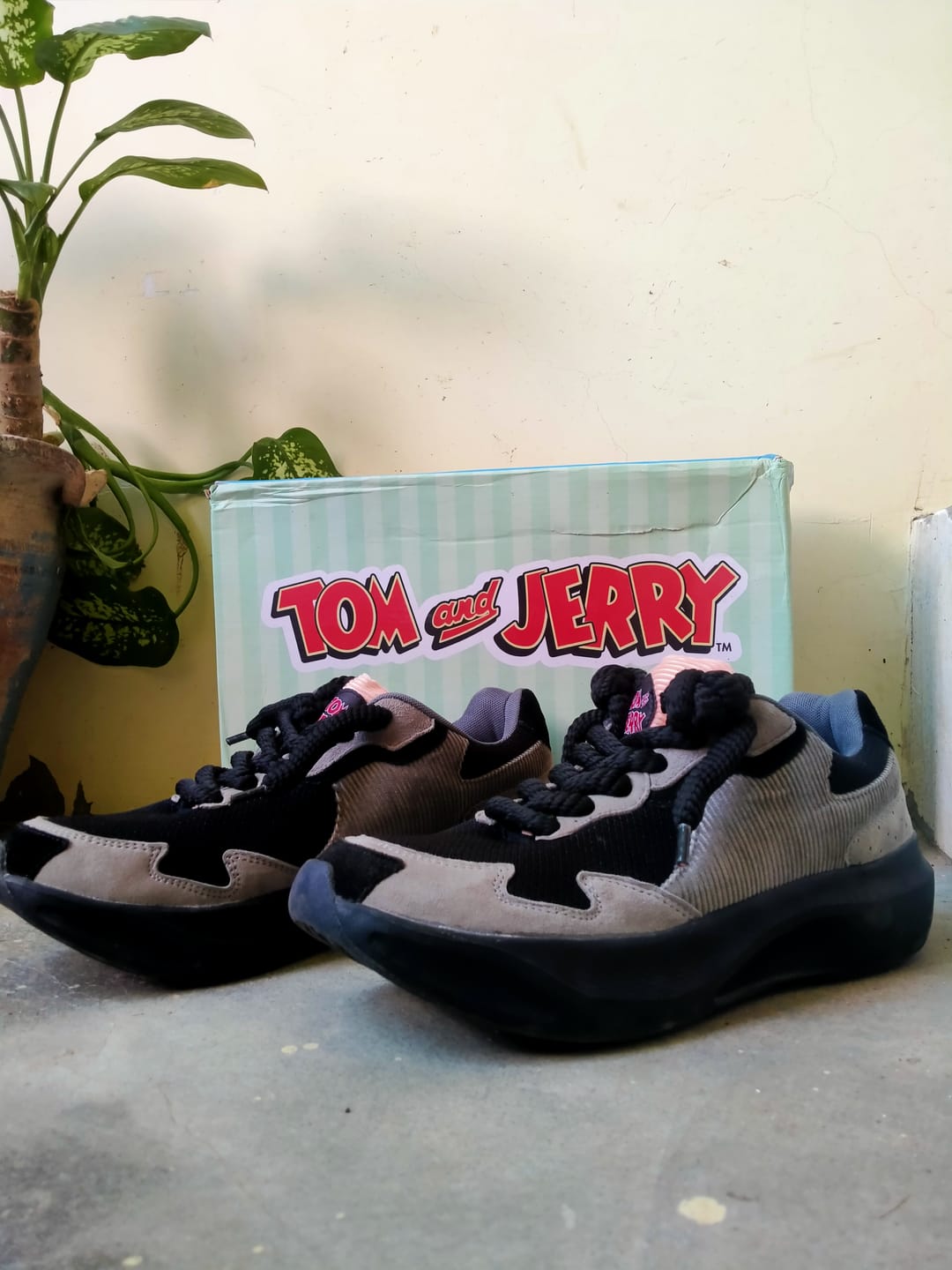 Customer photo review of TOM - Stealth Moves | Tom & Jerry x Bacca Bucci Men’s Sneakers