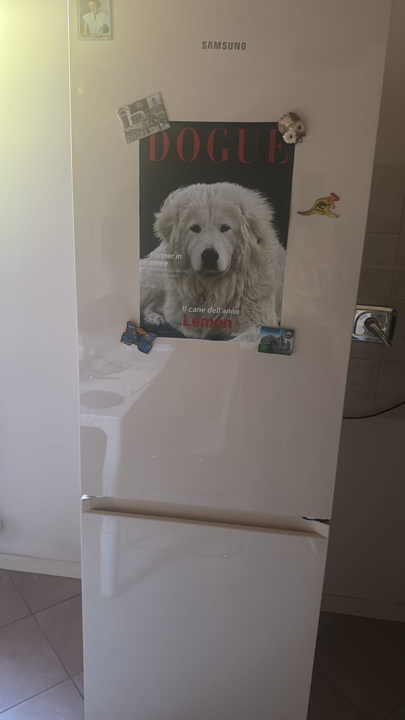 Customer photo review of Dogue - Poster personalizzato