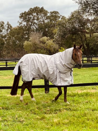 Customer photo review of LE Boxter Turnout 0g