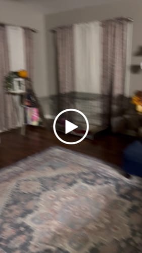 Customer video review of Waylon Jennings "Songbird" Black Vinyl LP Pre-Order
