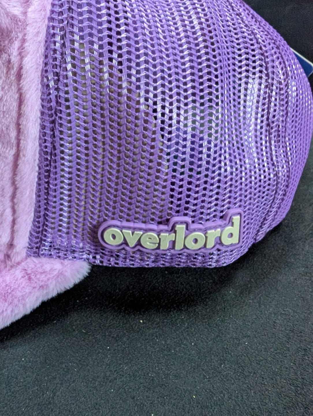 Customer photo review of OVERLORD X Care Bears:  Share Bear Trucker Cap