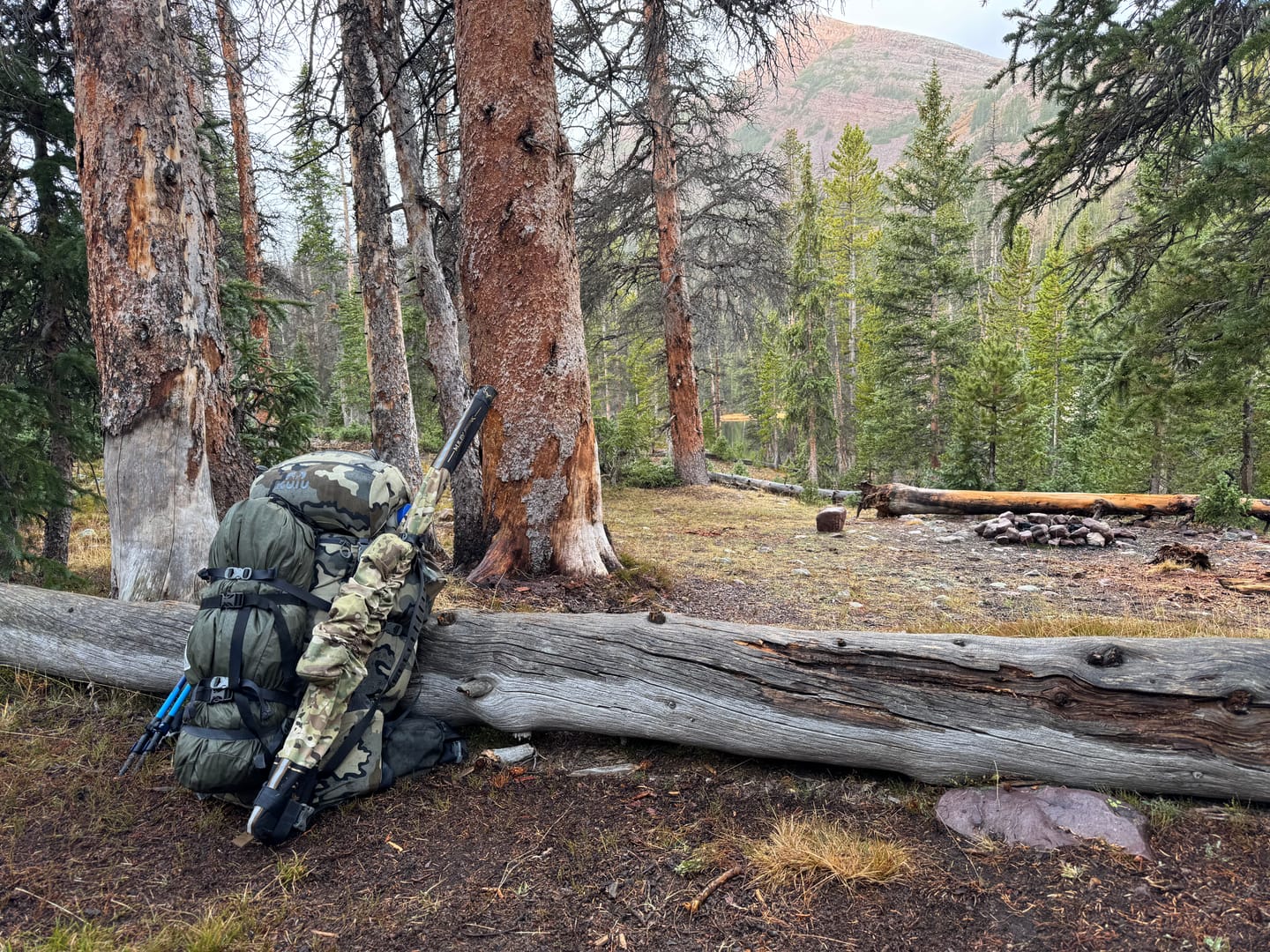 Customer photo review of Pack-Konnect R Rifle Cover