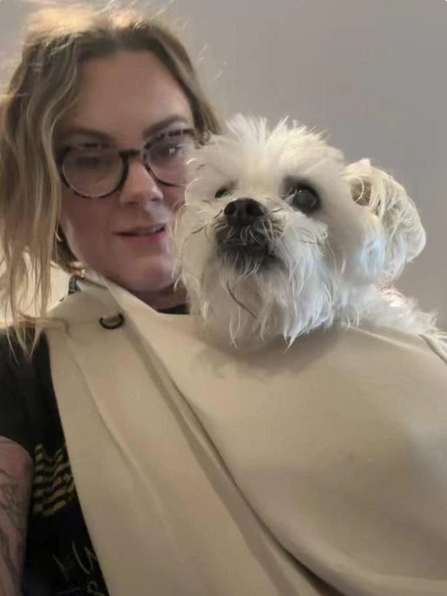 Customer photo review of Mellowpurr Güvenli Taşıma Askısı - size özgürlük ona güven verir!