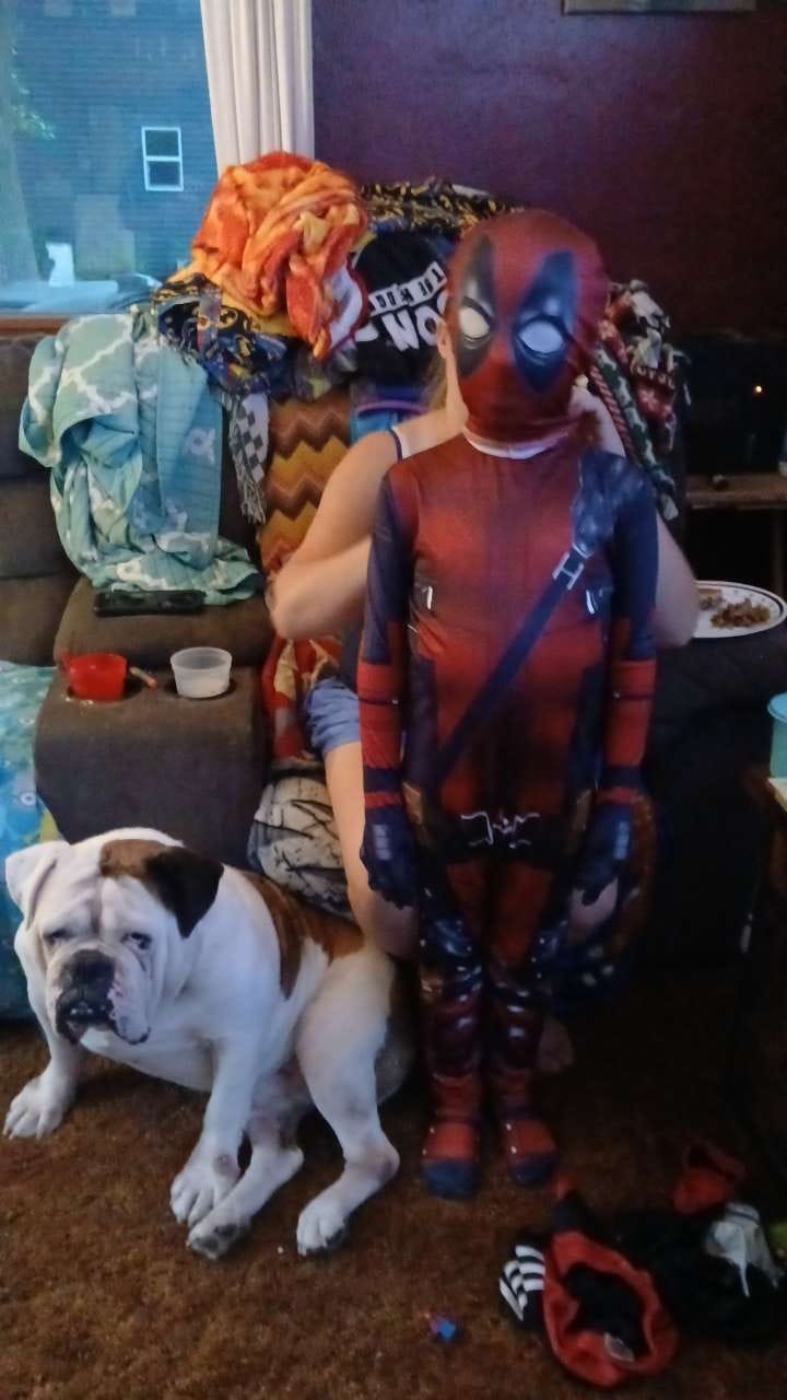 Customer photo review of Deadpool Costume for Kids and Adults
