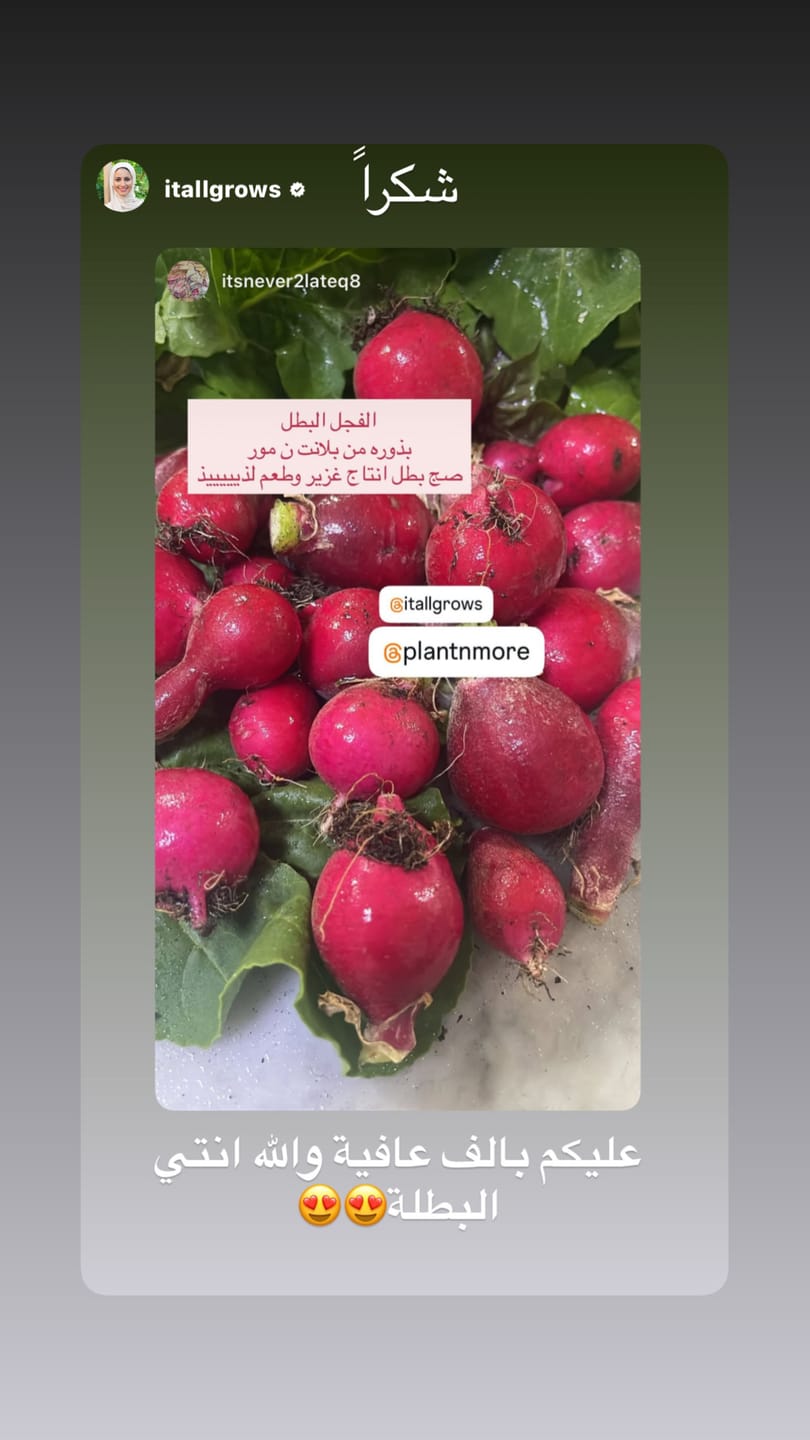 Customer photo review of Radish Champion