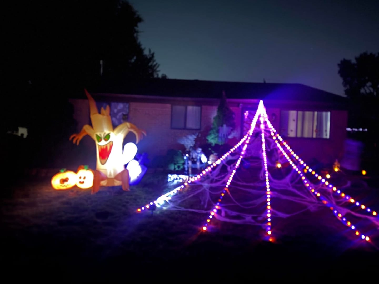 Customer photo review of Halloween Spider Web with 290 LED Lights - Giant Outdoor Spider Decoration with 78.7" Spider