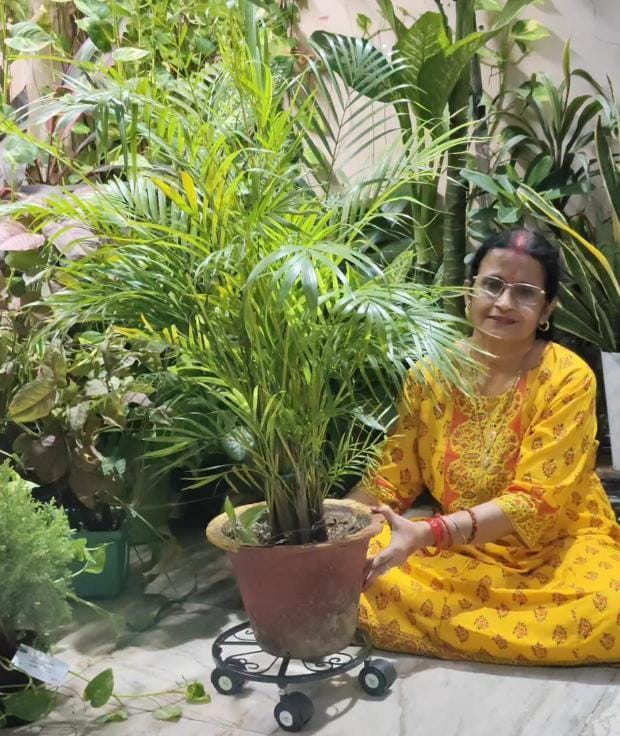 Customer photo review of TryGreen Luna Wheel Rolling Plant Stand for Planters