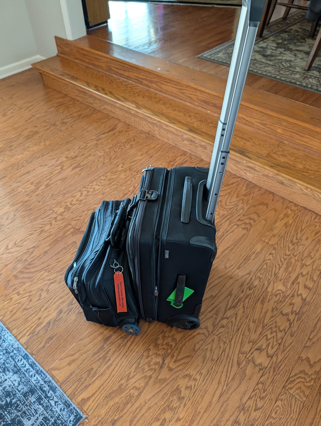 Customer photo review of Flight Essentials Softside Wheel-A-Board Bag - 30L