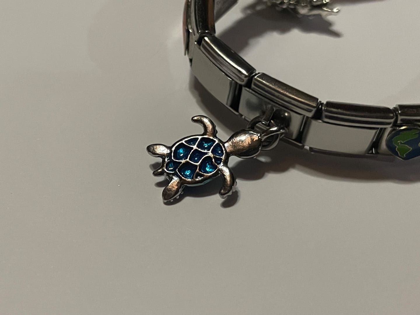 Customer photo review of Charm Tortuga