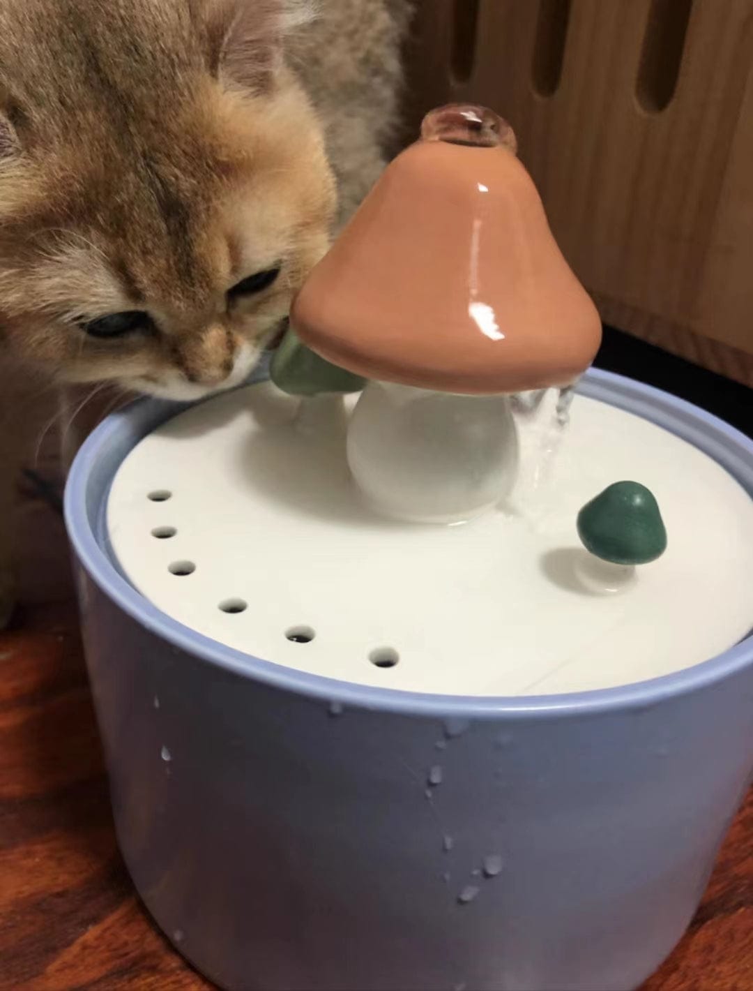 Customer photo review of PurrHaven - Katten Automatisch Keramisch Drinkfontein