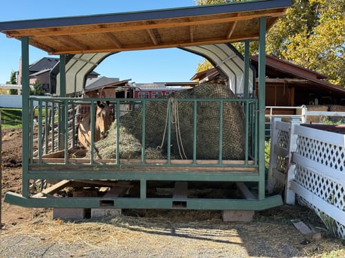 Customer photo review of Hay Chix® Large Bale Net - 6'