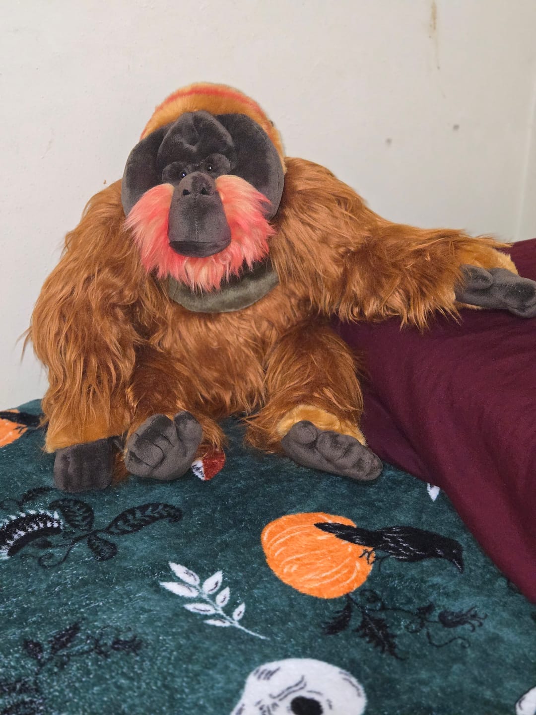 Customer photo review of Orangutan Ape Soft Stuffed Plush Toy