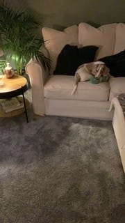 Customer photo review of GRÖNLID 3-Seat IKEA Sofa Cover