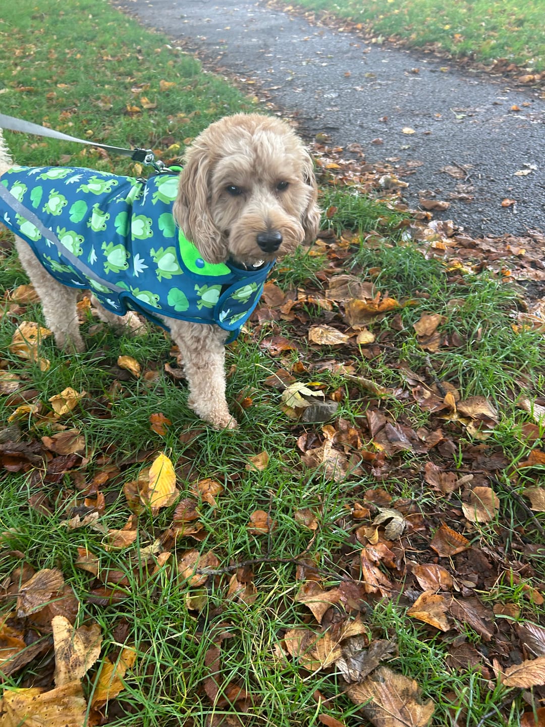 Customer photo review of Rain Jacket - Frogging Fabulous