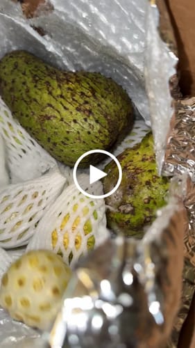 Customer video review of Soursop
