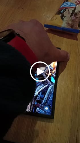 Customer video review of Are We Quixotes Or Are We Dreamers