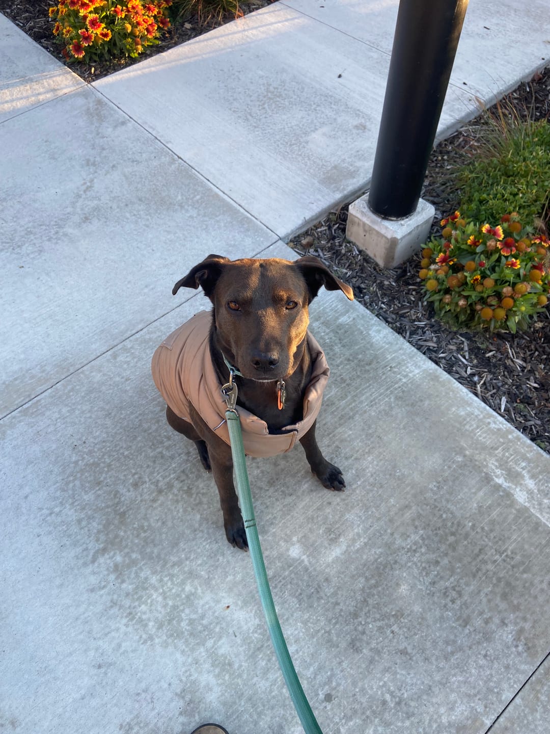 Customer photo review of WarmShield Water-Resistant Jacket - Tan