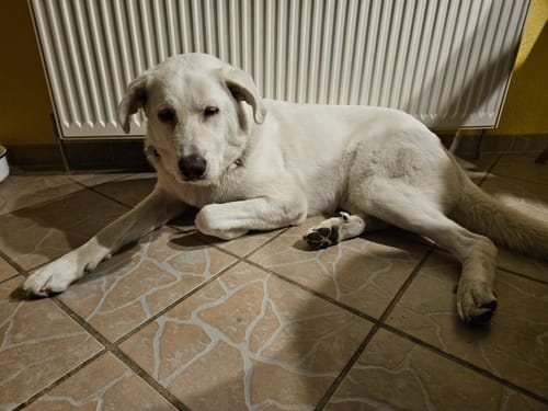 undefined review of Scratch Less image 1 out of 2