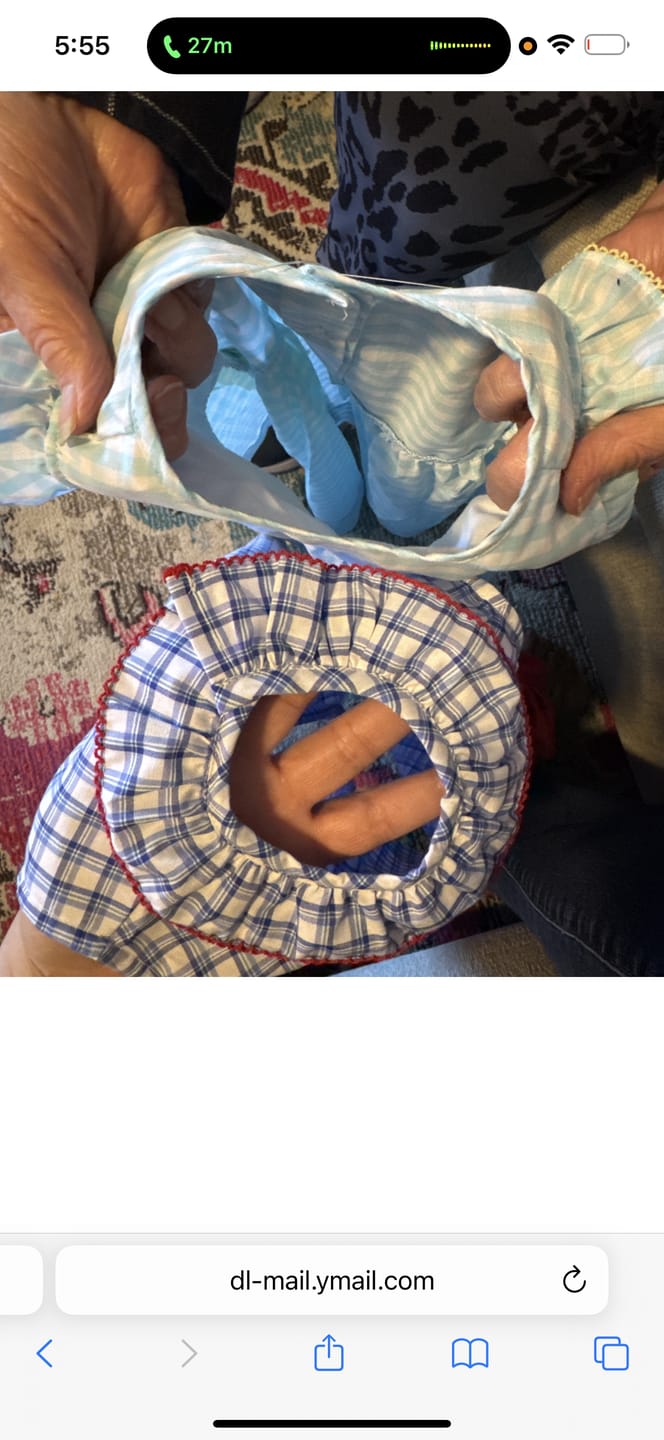 Customer photo review of Flag Smocked Blue Plaid Beverly Dress