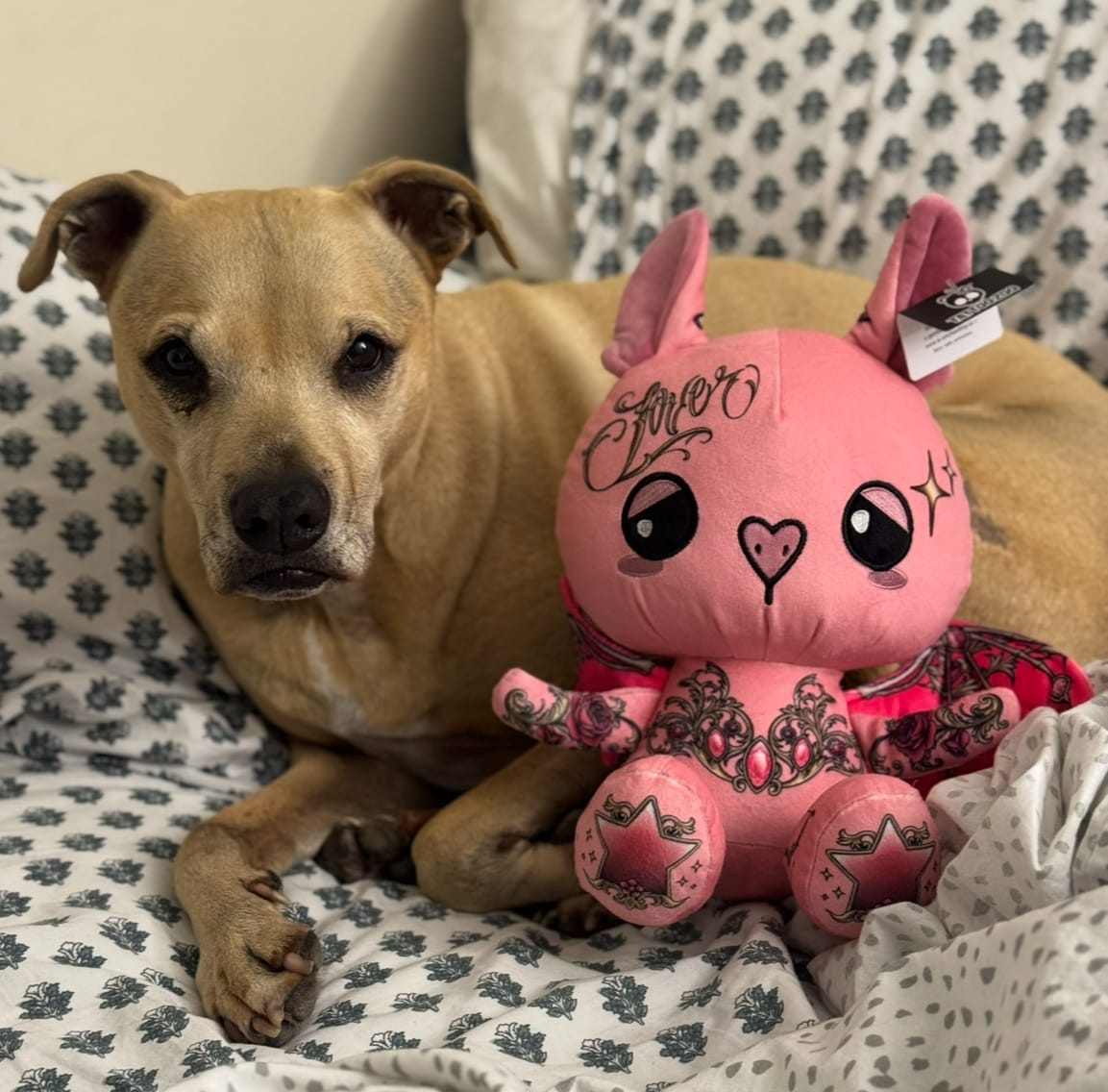Customer photo review of Rosie the Bat Plushie