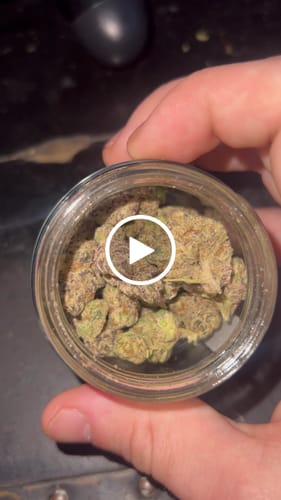 Customer video review of Dank Dynasty Exotic THCA Flower
