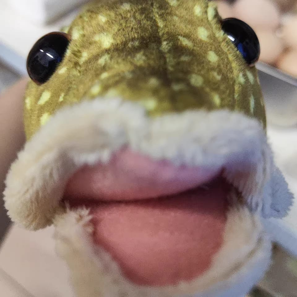 Customer photo review of Realistic Northern Pike Fish Plush Toy – Soft, Lifelike, and Perfect for Nature Lovers