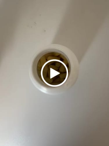 Customer video review of Skin & Gut Maintain™