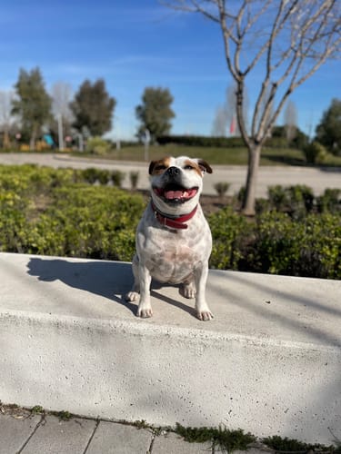 Customer photo review of Light