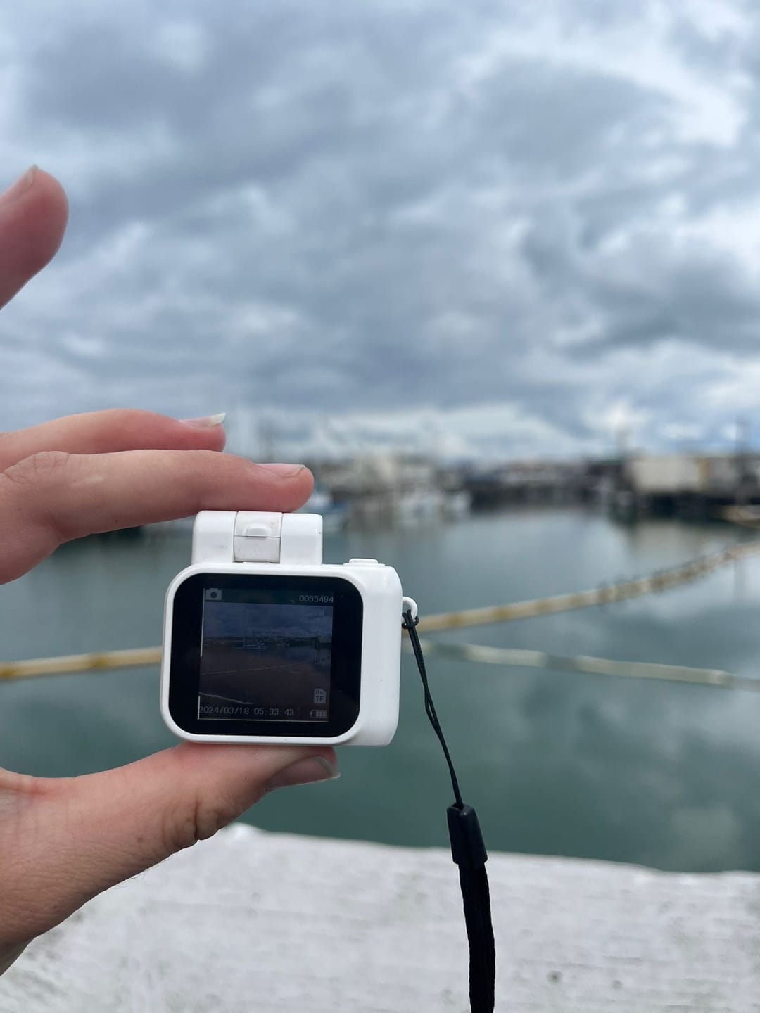 Customer photo review of RetroShot™