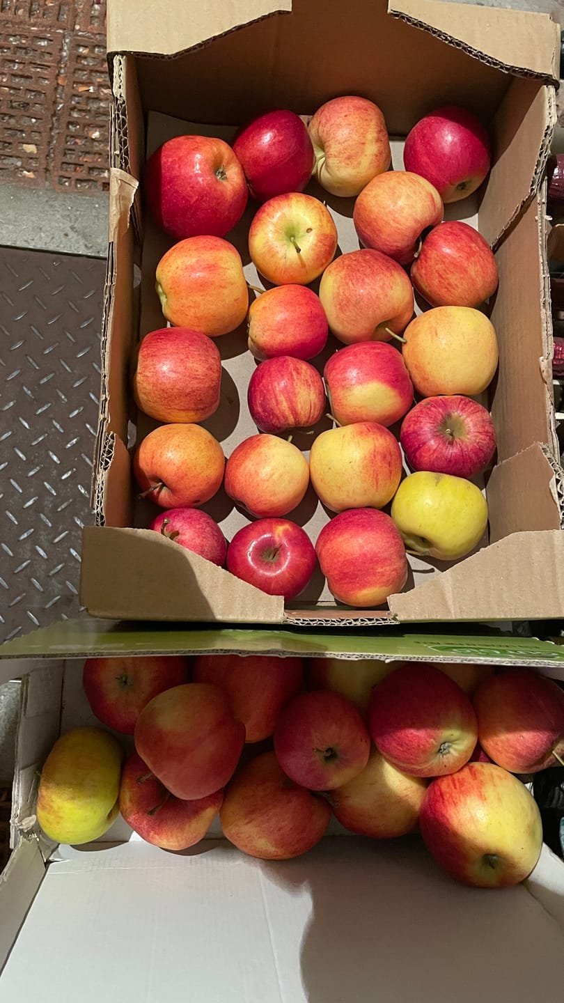 Customer photo review of Apfel Gala von Tobias Rehm Bio regional