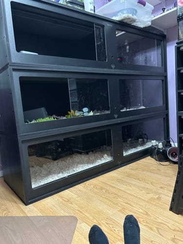 Customer photo review of XT6 (72Lx24Dx18H) - STACKABLE