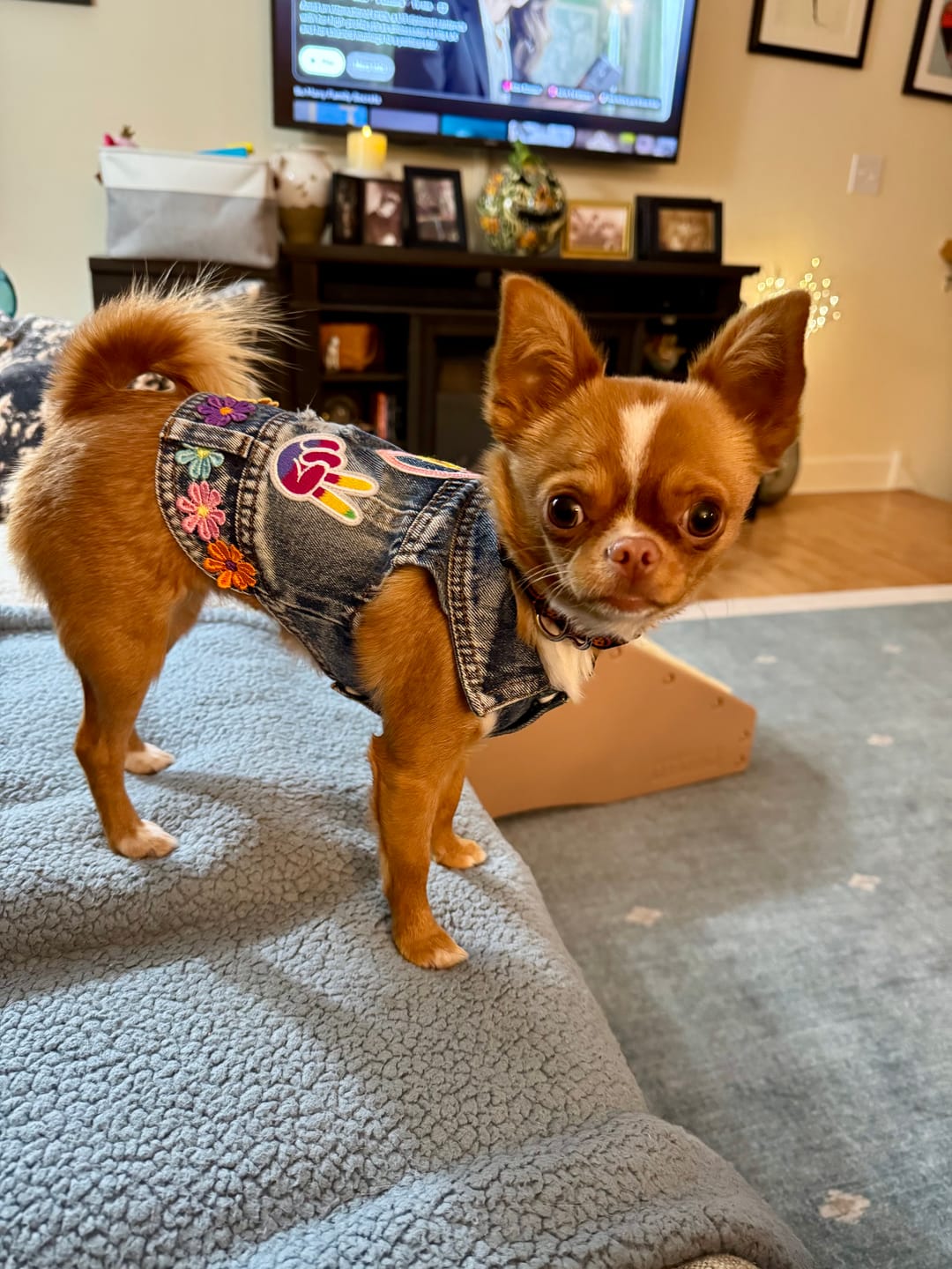 Customer photo review of Season of Love Vest