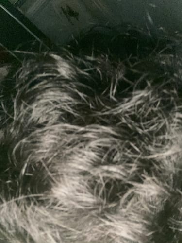 Customer photo review of Seb Natural Calming Serum