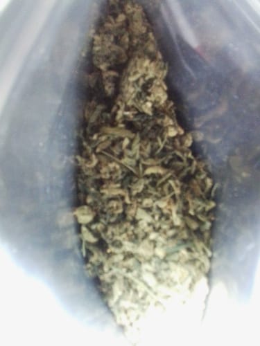 Customer photo review of Exotic Shake