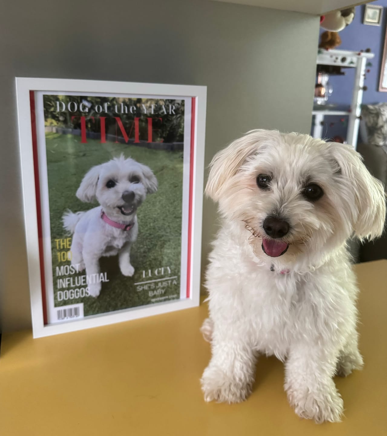 Customer photo review of Pet Portrait Magazine Cover