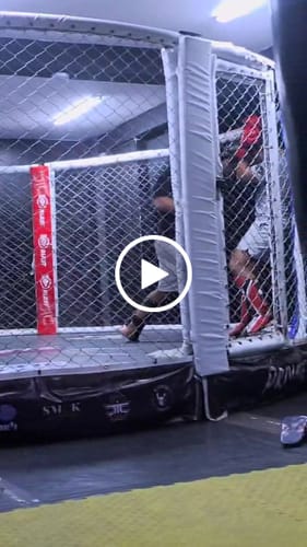Customer video review of Canilleras con Empeine para Muay y MMA Thai Aura Plus T17