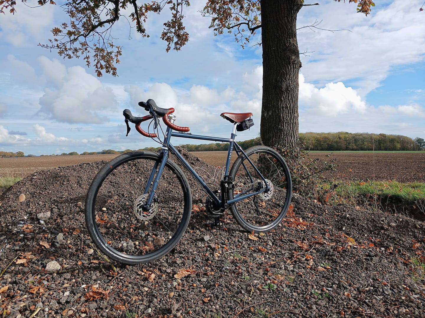 Customer photo review of Adventure Disc 2