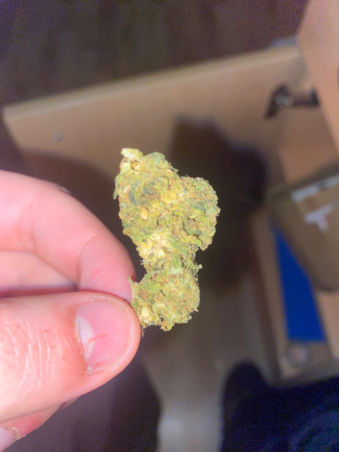 Customer photo review of Kiez Kush Extra Strong 60% - CBD Blüten - Indoor - Cannabis ohne Rezept kaufen