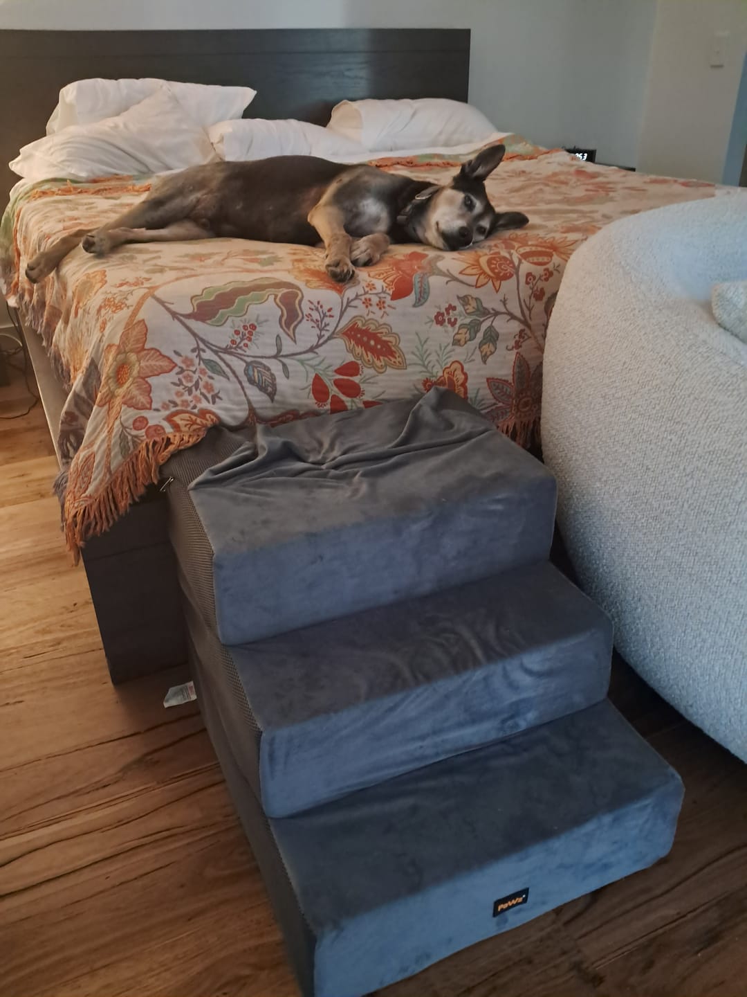 Customer photo review of Detachable Pet Foam Stairs