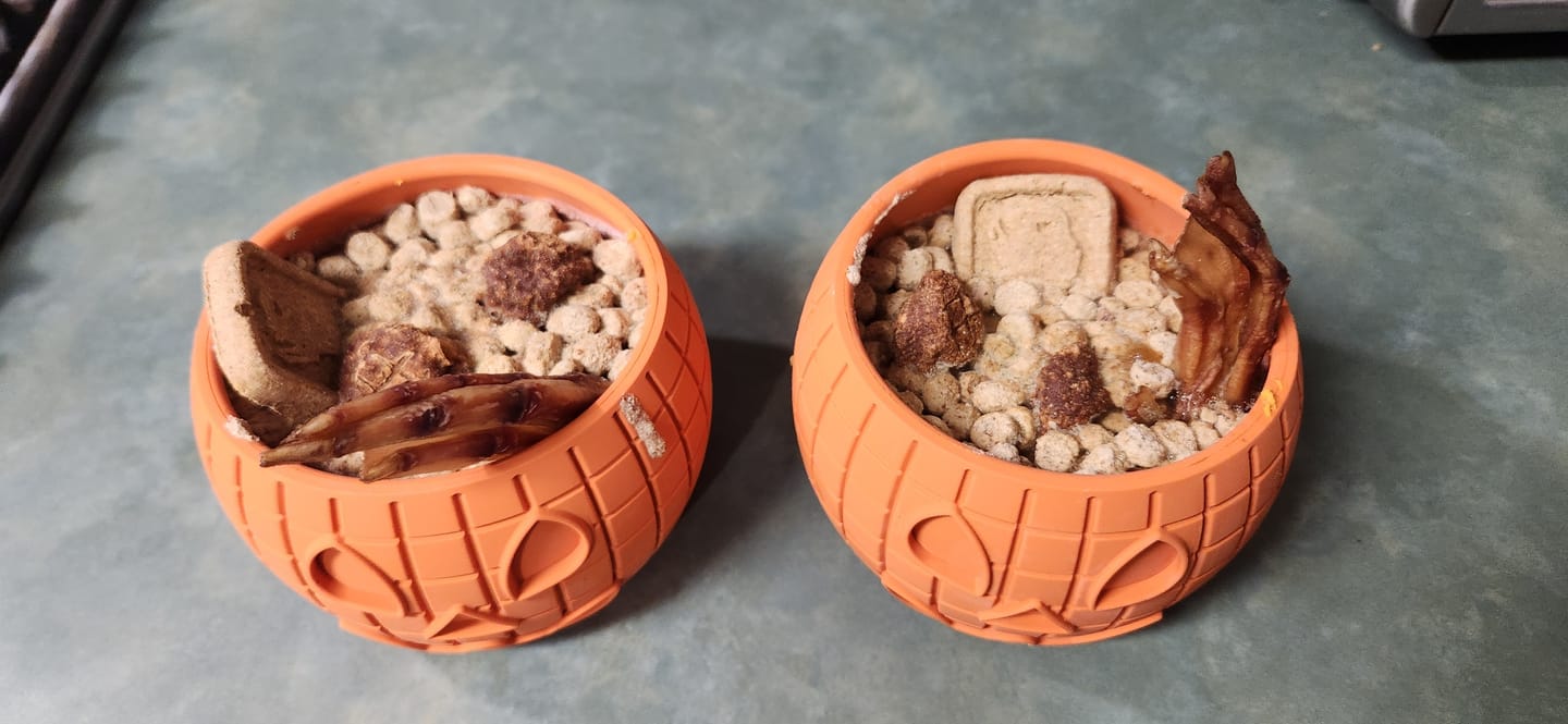 Customer photo review of FreezPumpkin Limited Halloween Edition Dog Toy