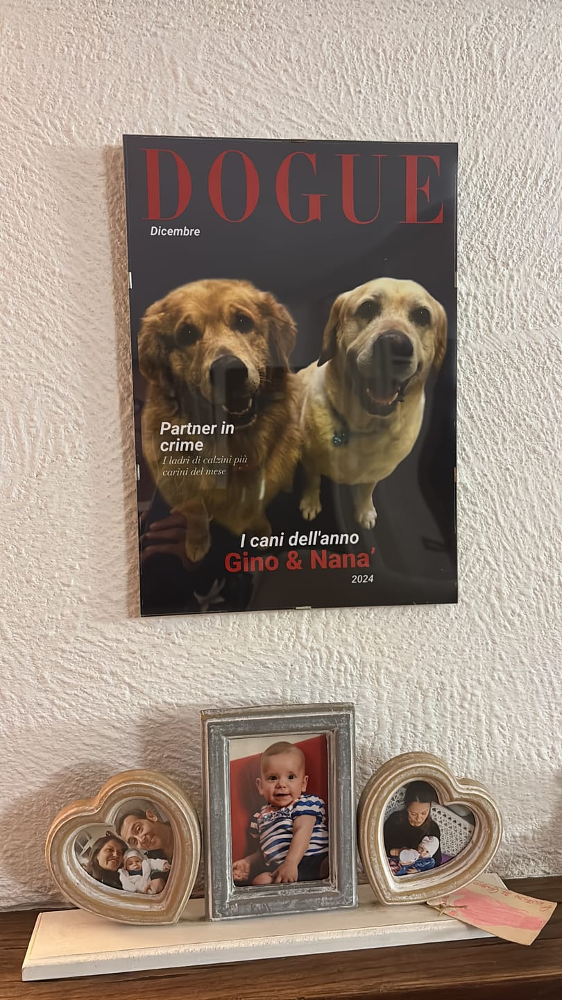Customer photo review of Dogue - Poster personalizzato