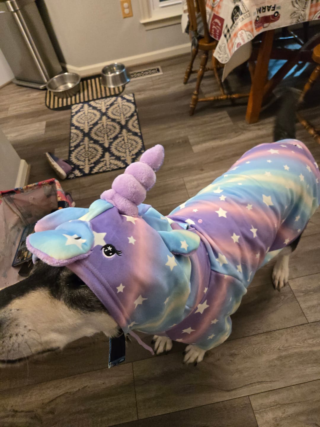 Customer photo review of Halloween Dog Hoodie - Unicorn