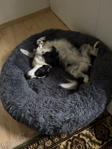 Customer photo review of CalmBed - Motverkar stress & hjälper mot ångest